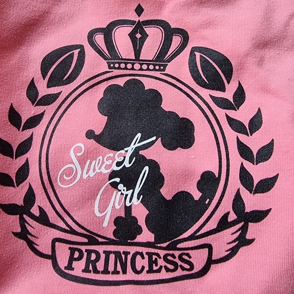 ๐๏ธ Dobaz 'Sweet Girl Princess" Dog Hoodie Sweater - Picture 3 of 8